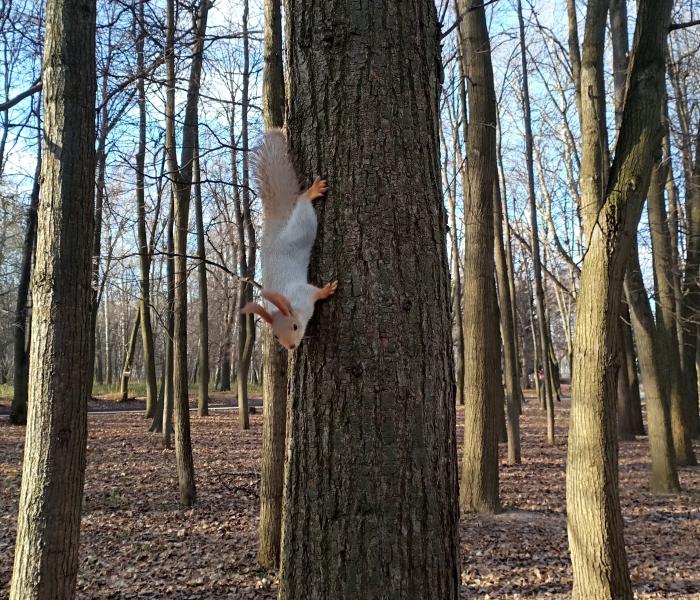 В Рязанской области ожидается дождливый день